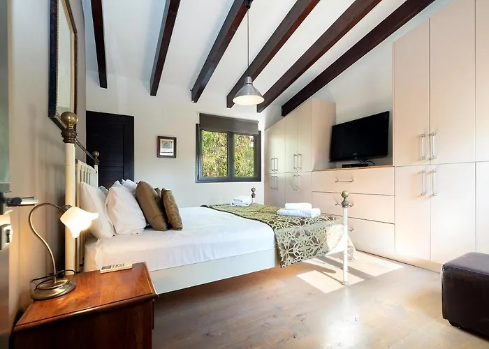 Palmeras Hills * 锡切斯